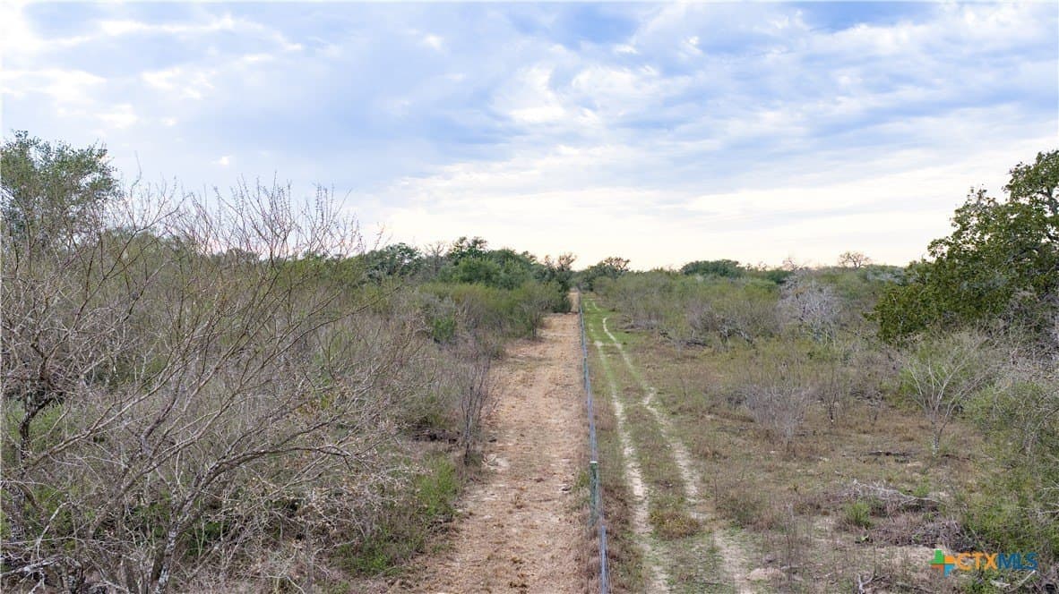 40 acres in Goliad County - photo 39