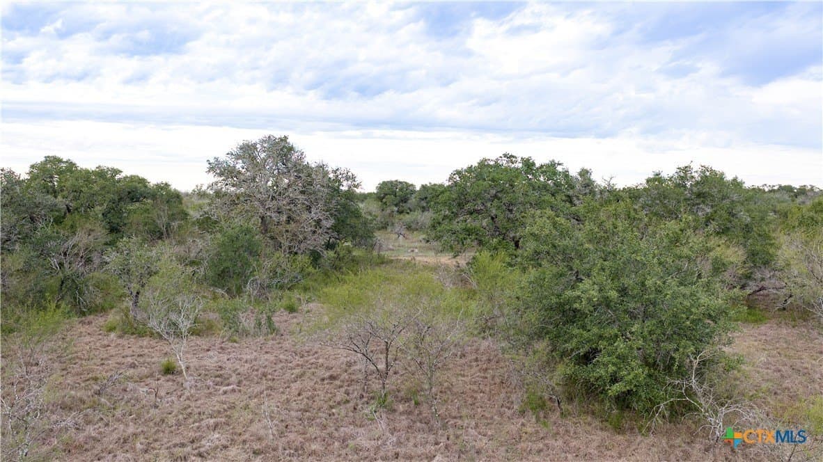 40 acres in Goliad County - photo 38