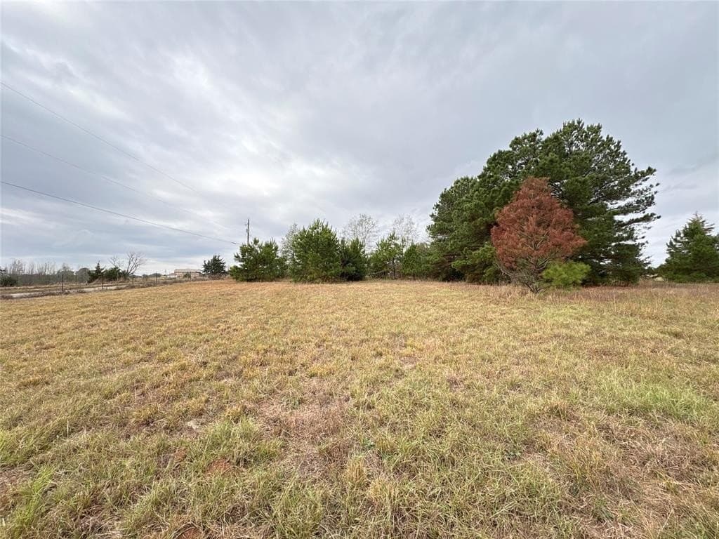 2 acres in Morris County - photo 5