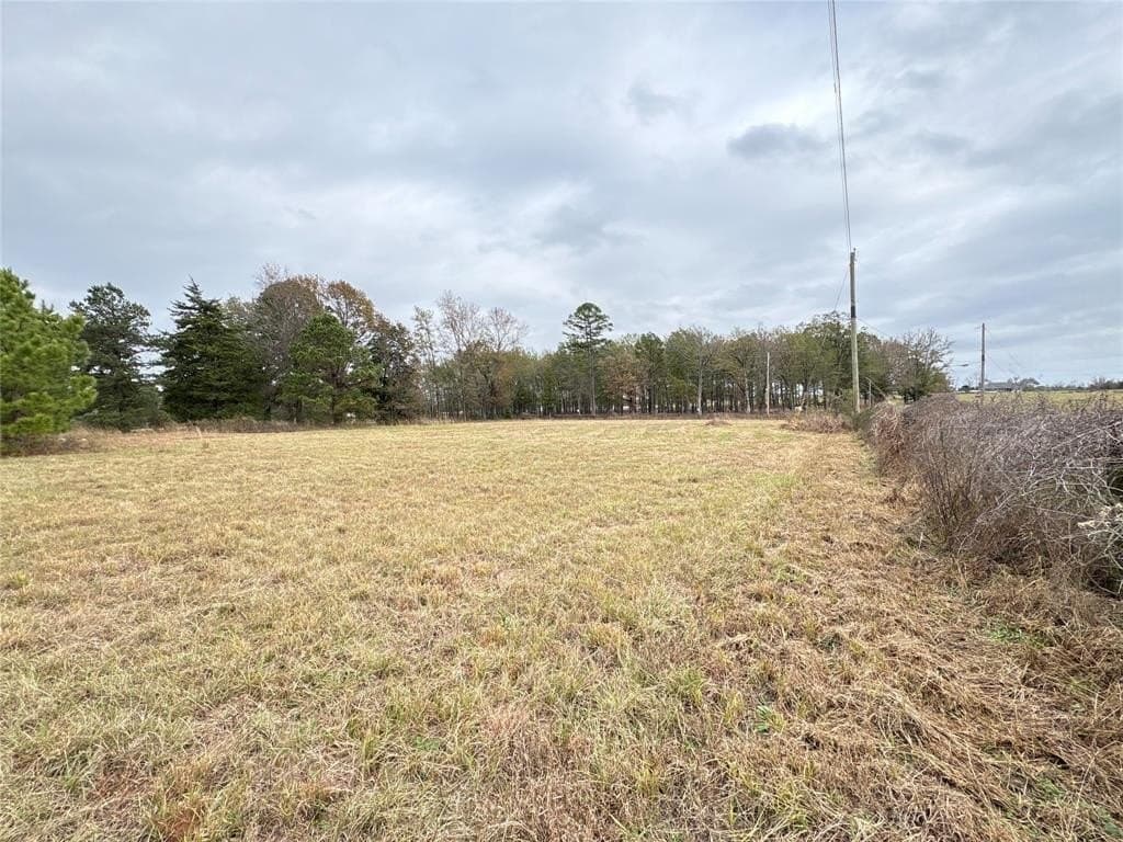2 acres in Morris County - photo 4