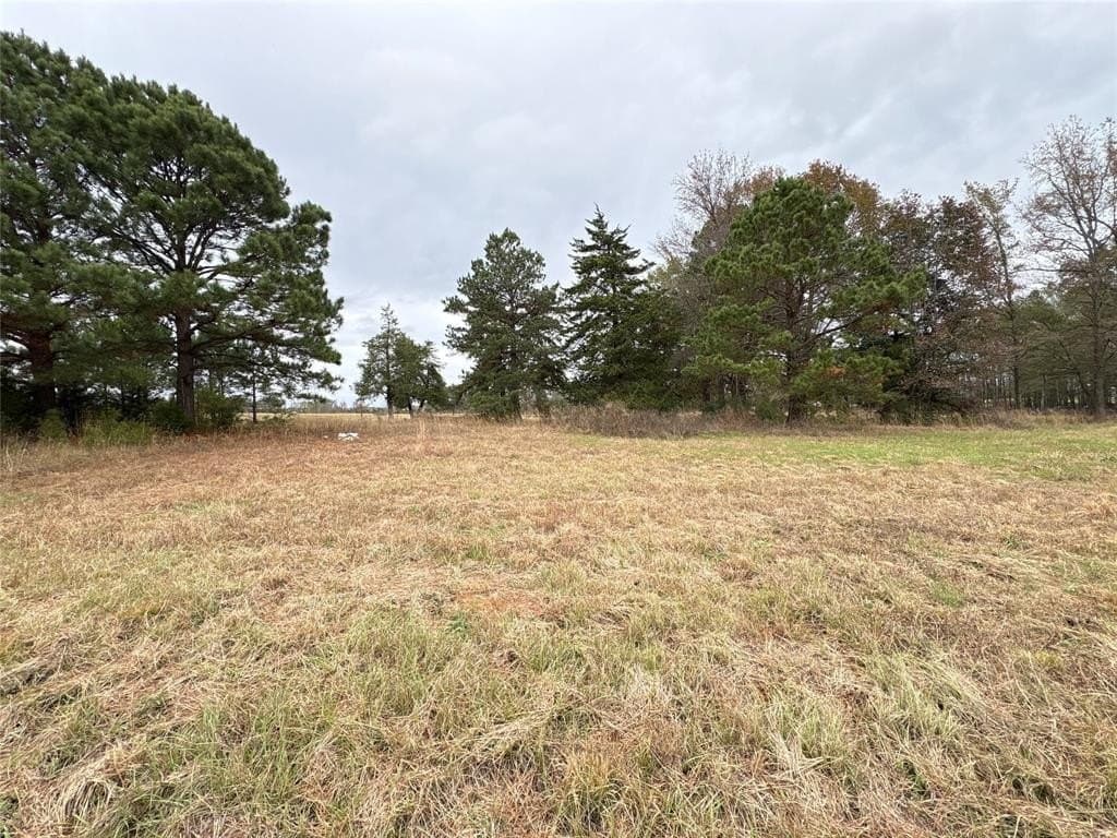 2 acres in Morris County - photo 6