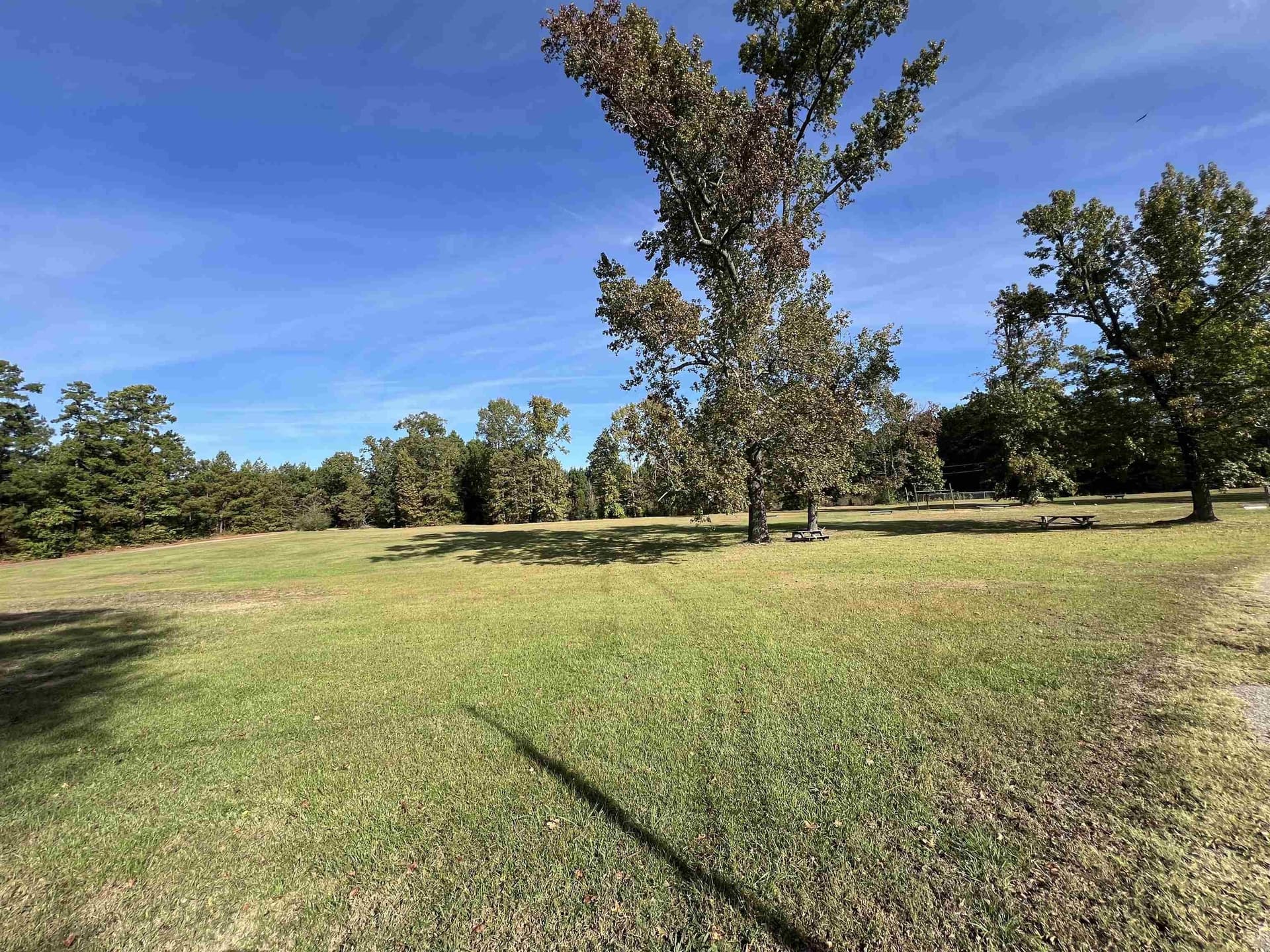 27.01 acres in Texas County - photo 3
