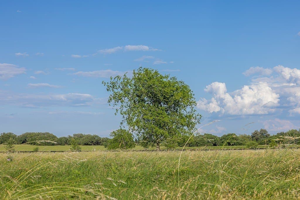 7.29 acres in Fayette County - photo 6