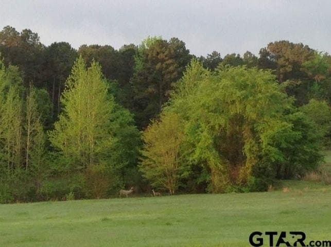 20.96 acres in Wood County - photo 27