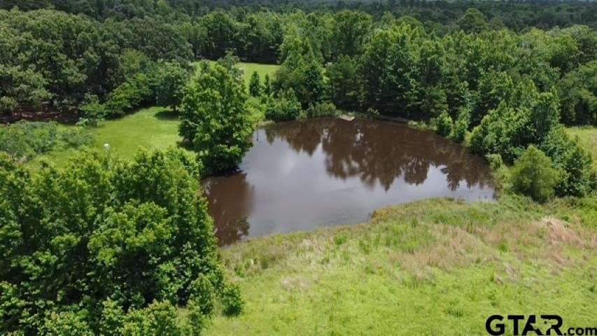 20.96 acres in Wood County - photo 7