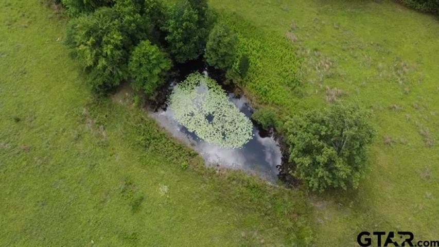 20.96 acres in Wood County - photo 13