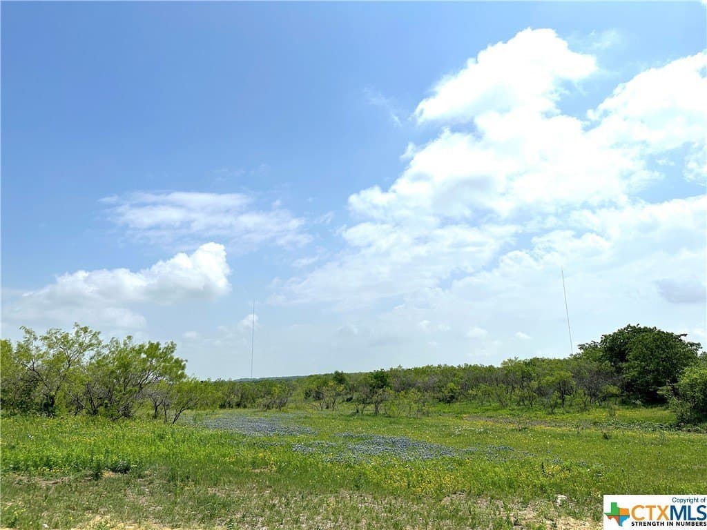 11.1 acres in Texas County - photo 22