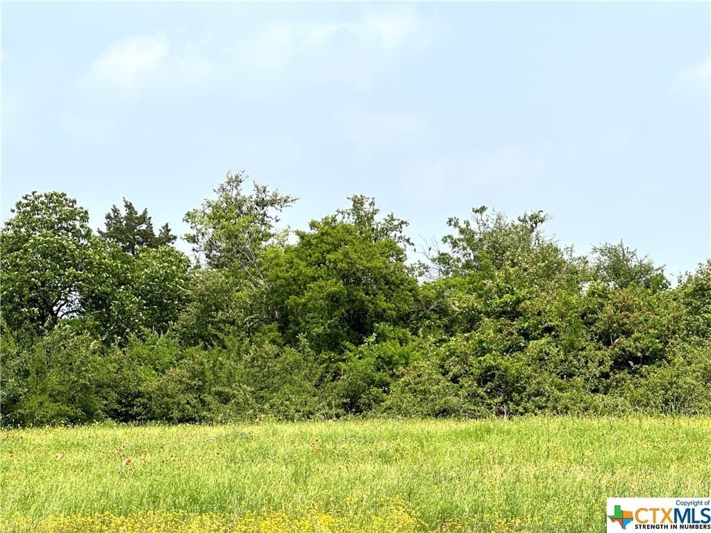 11.1 acres in Texas County - photo 17
