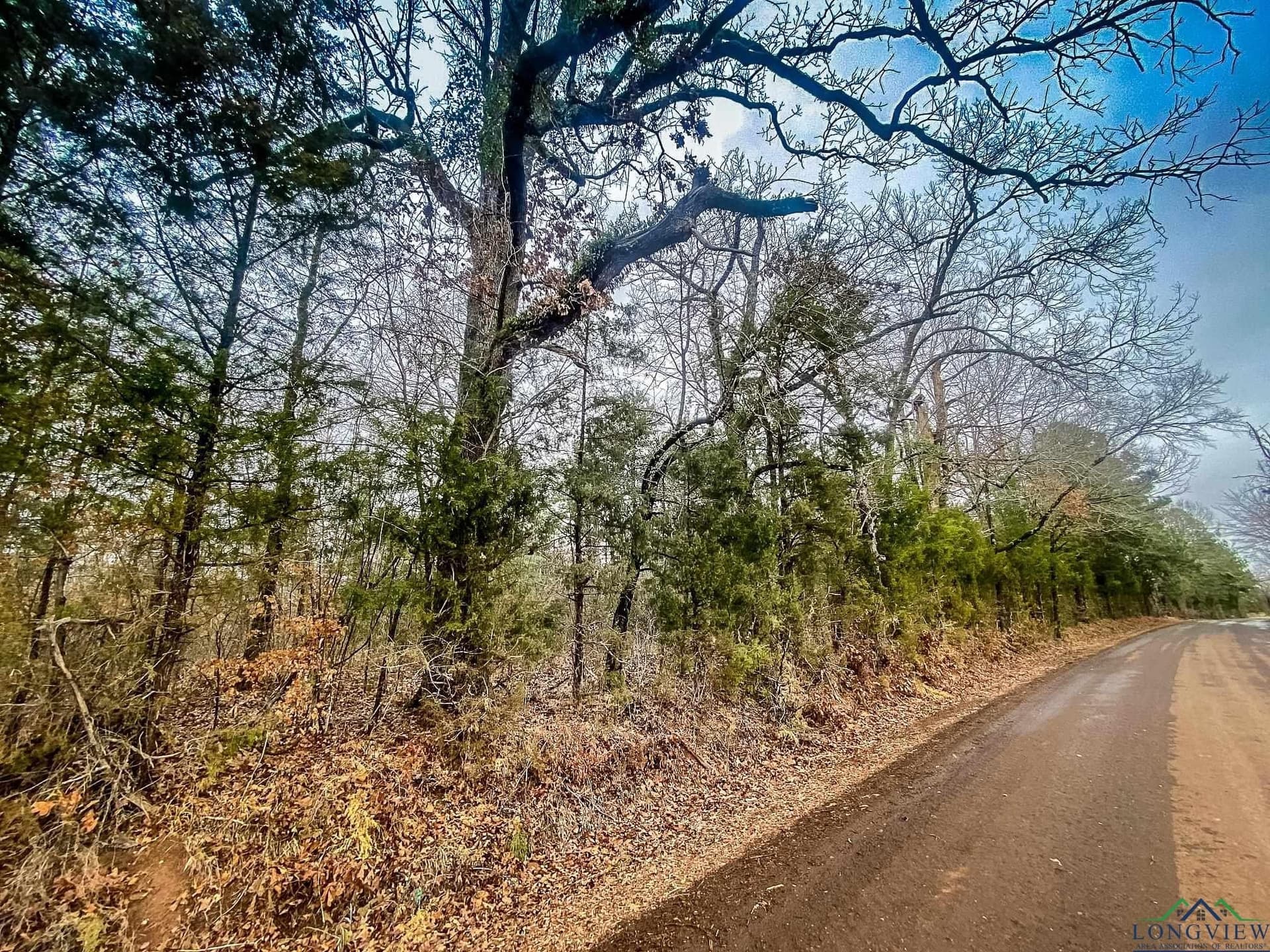 8 acres in Harrison County - photo 12