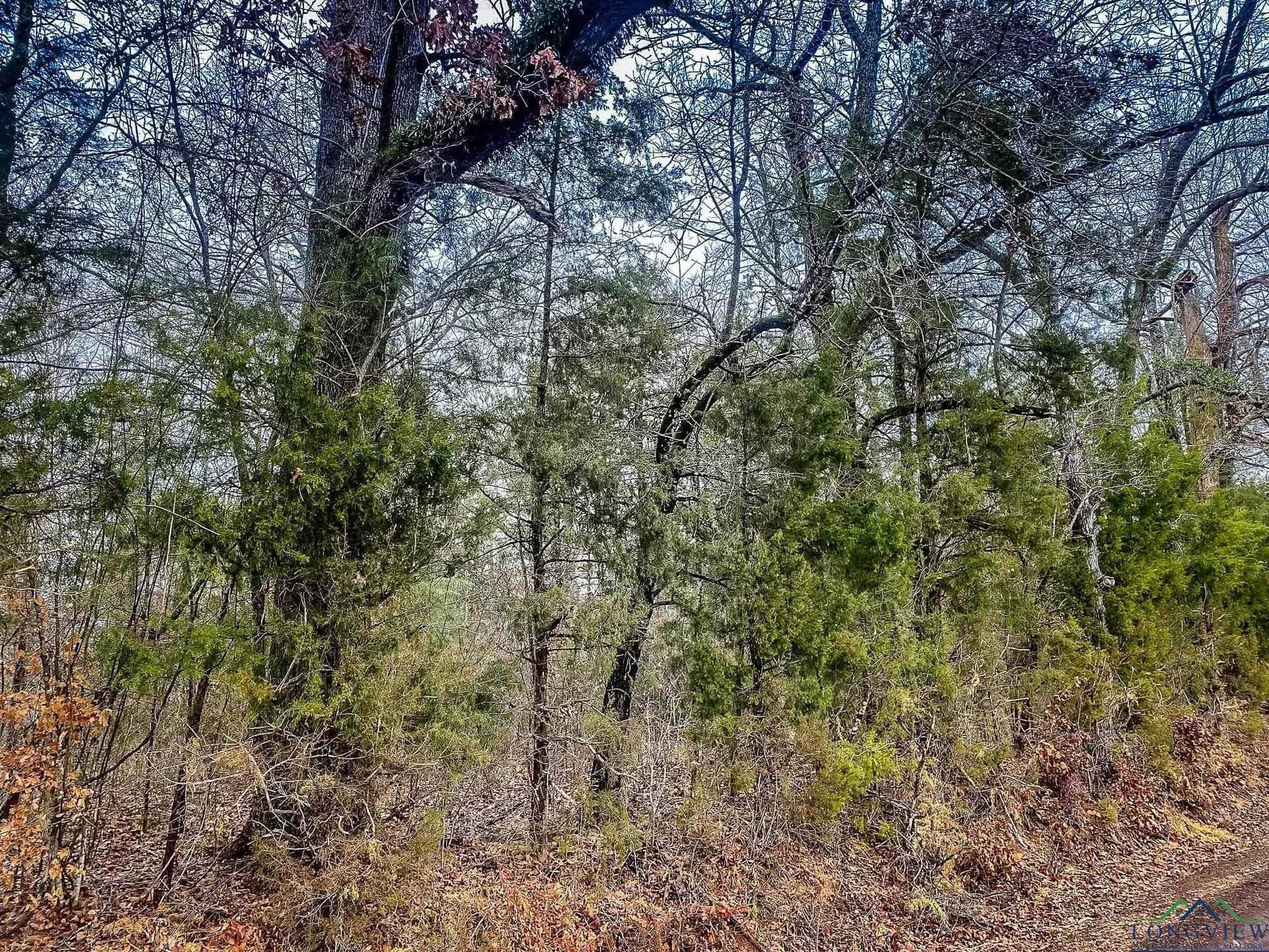 8 acres in Harrison County - photo 11