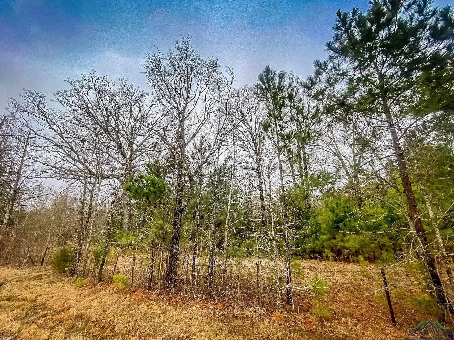 8 acres in Harrison County - photo 5