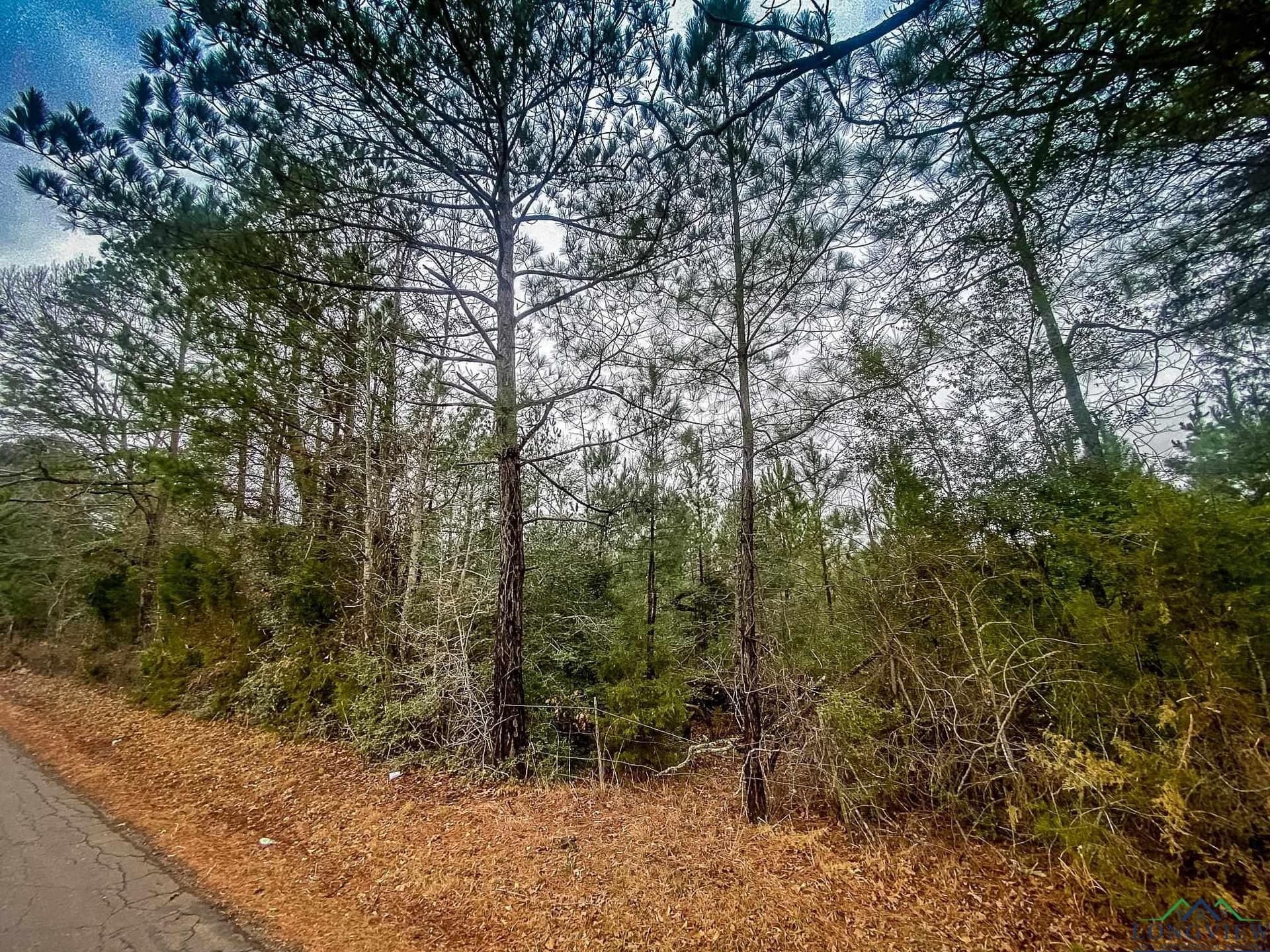 8 acres in Harrison County - photo 10