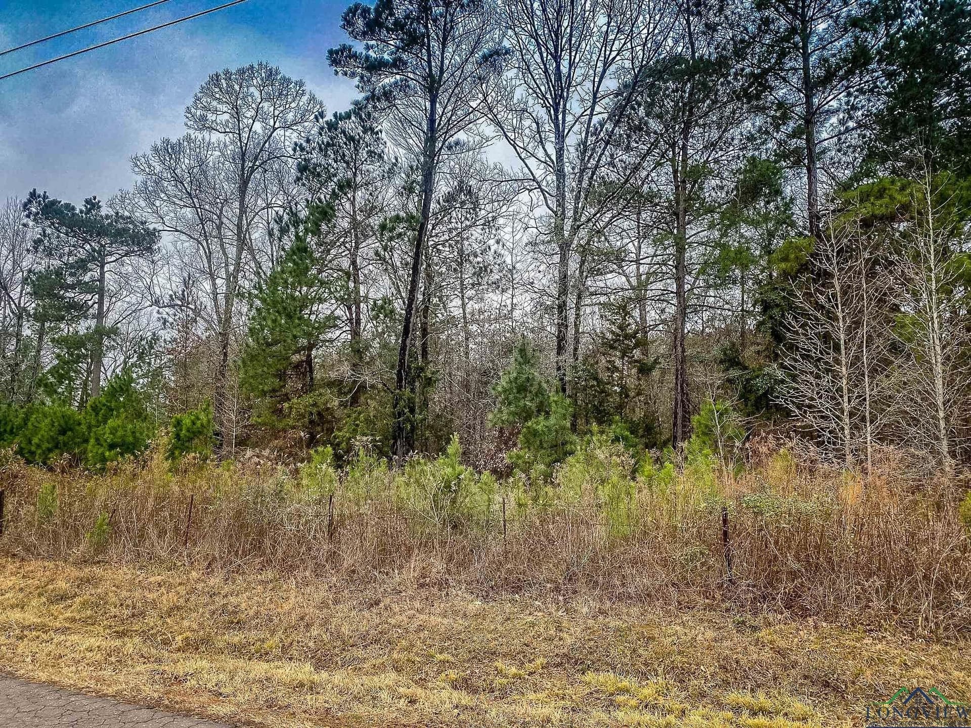 8 acres in Harrison County - photo 3