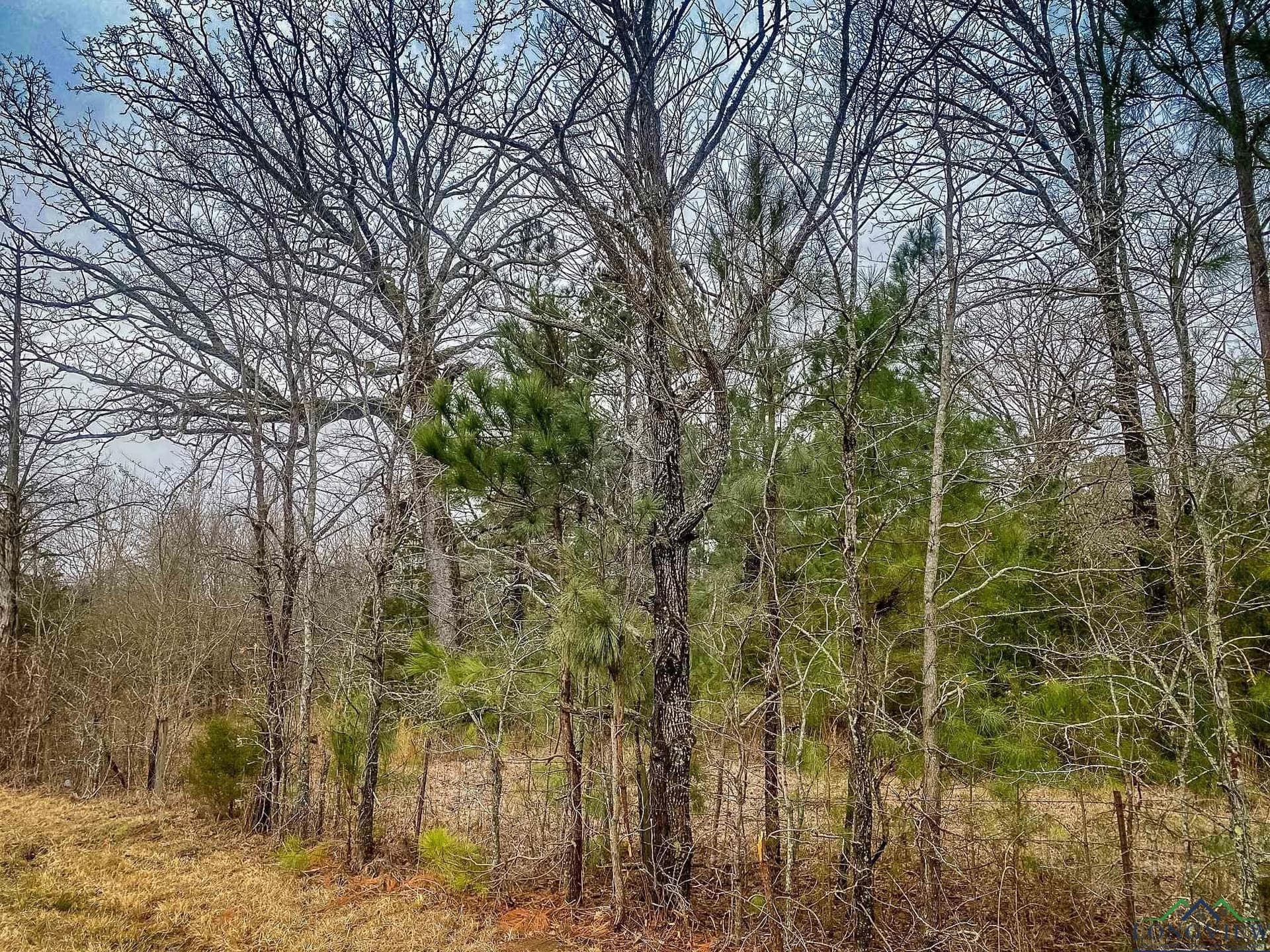 8 acres in Harrison County - photo 4