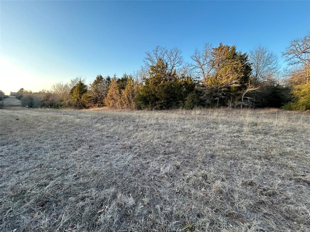 108.71 acres in Freestone County - photo 10