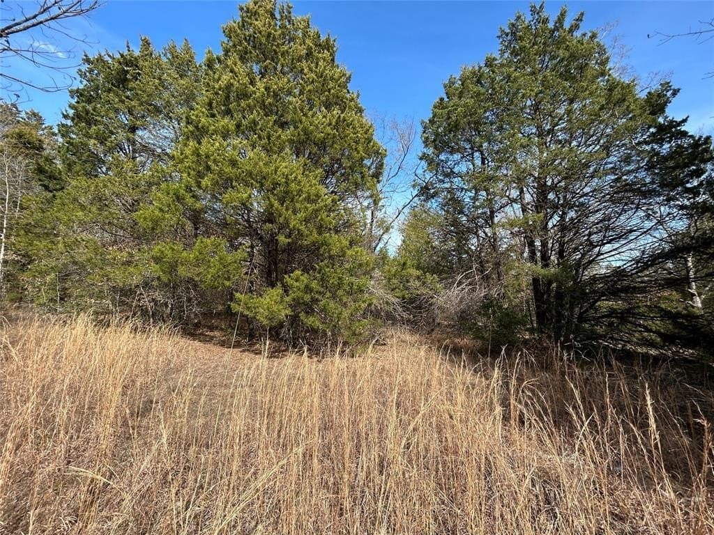 108.71 acres in Freestone County - photo 6