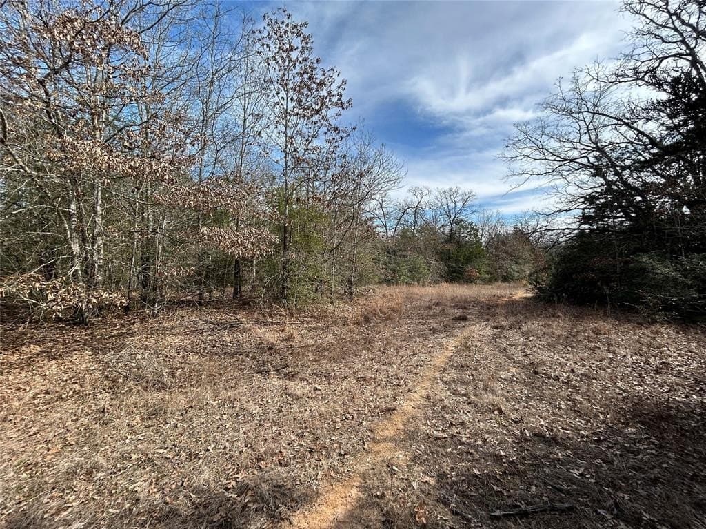 108.71 acres in Freestone County - photo 13