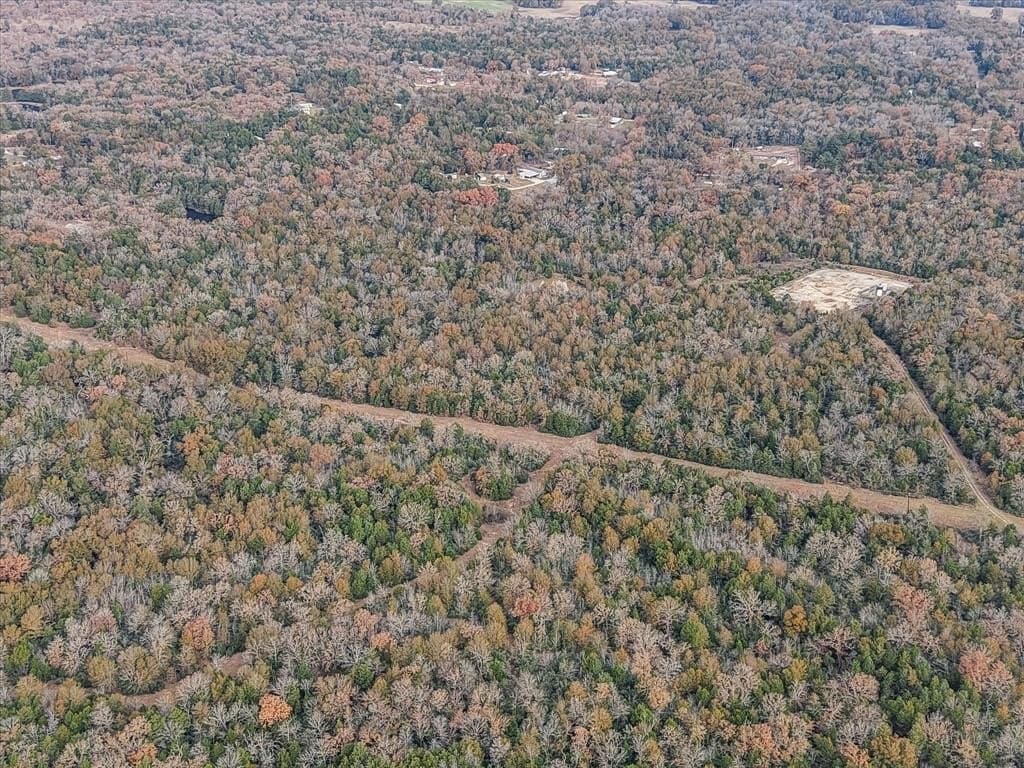 108.71 acres in Freestone County - photo 21