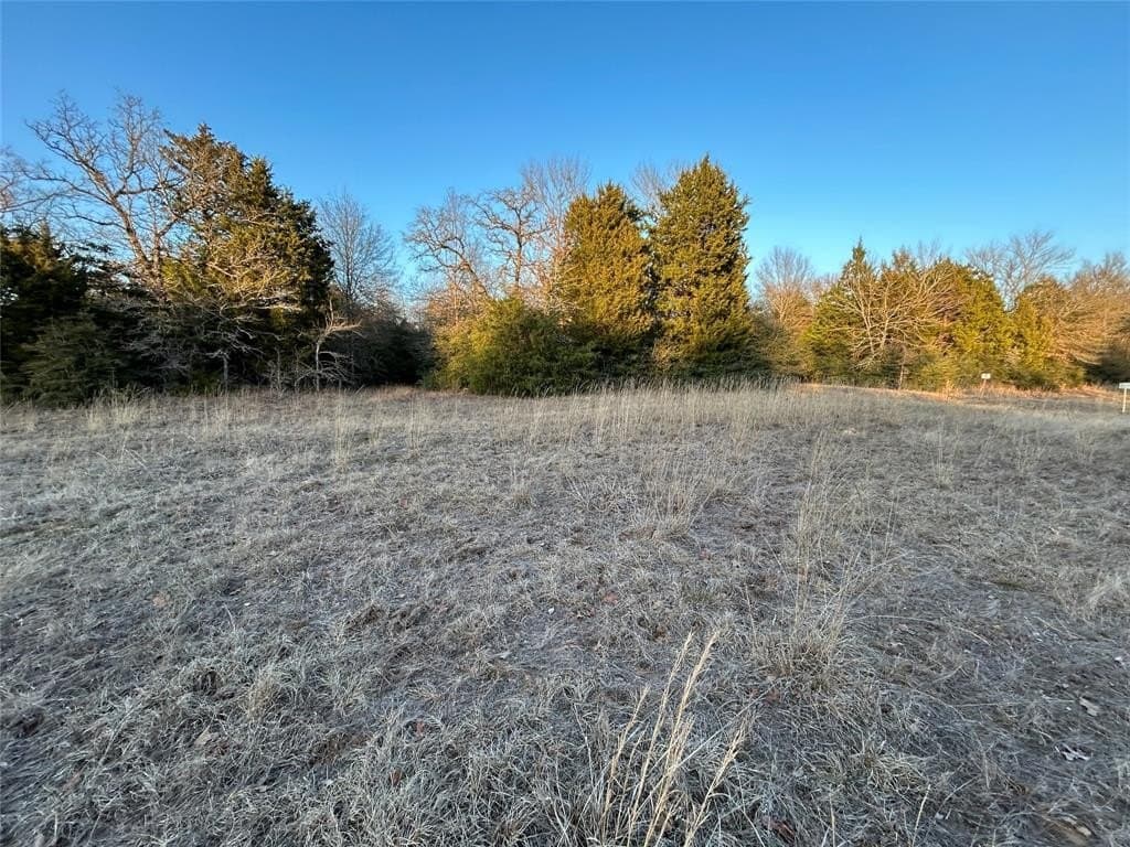108.71 acres in Freestone County - photo 7