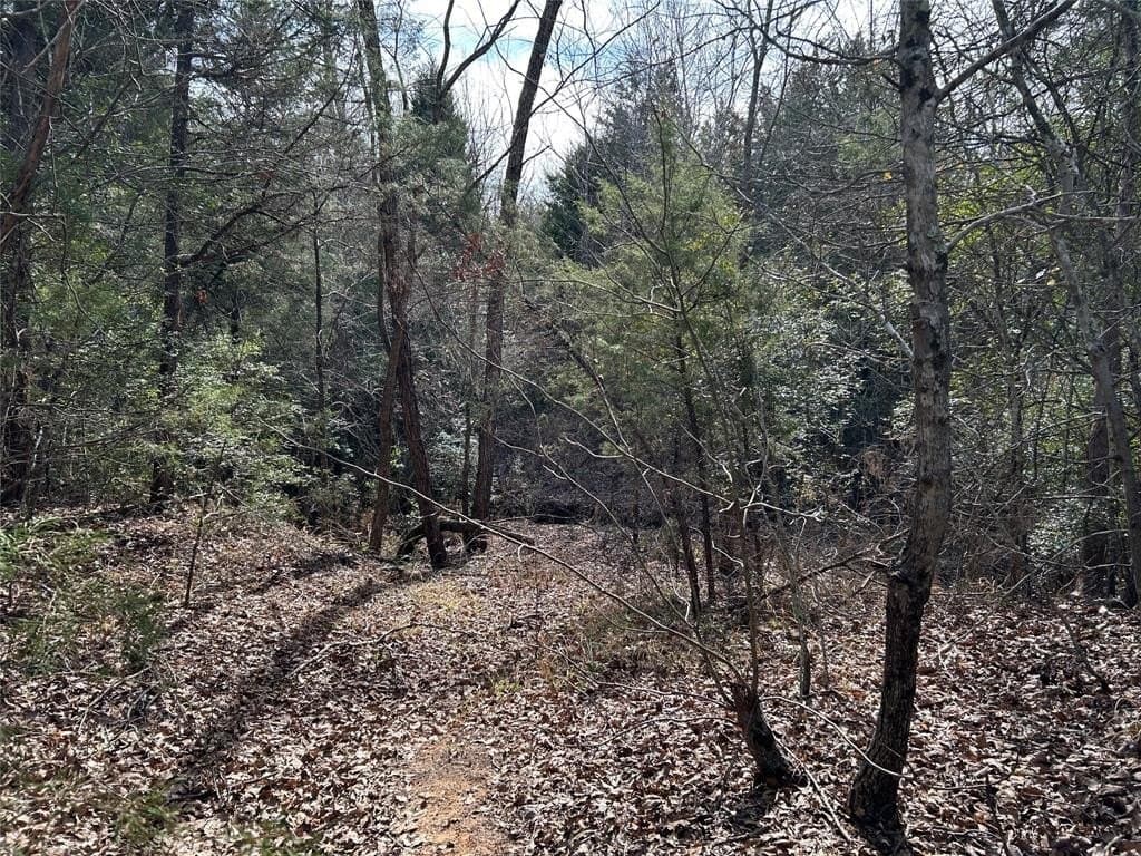 108.71 acres in Freestone County - photo 16