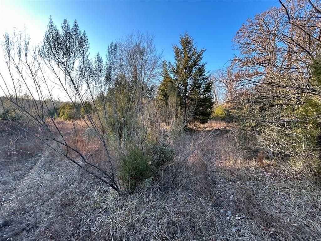 108.71 acres in Freestone County - photo 11
