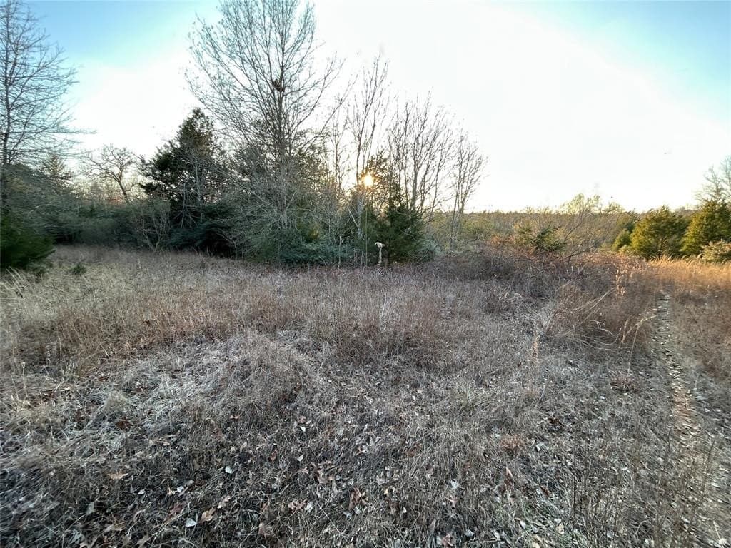 108.71 acres in Freestone County - photo 4