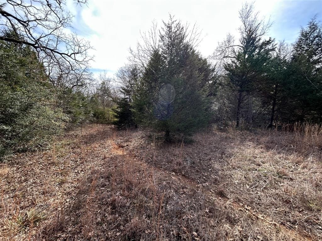 108.71 acres in Freestone County - photo 17