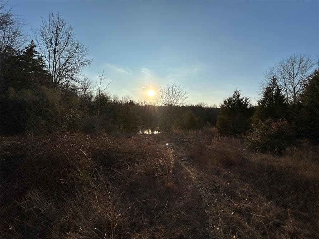 108.71 acres in Freestone County - photo 3