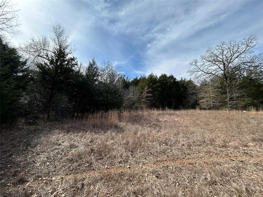 108.71 acres in Freestone County - photo 12