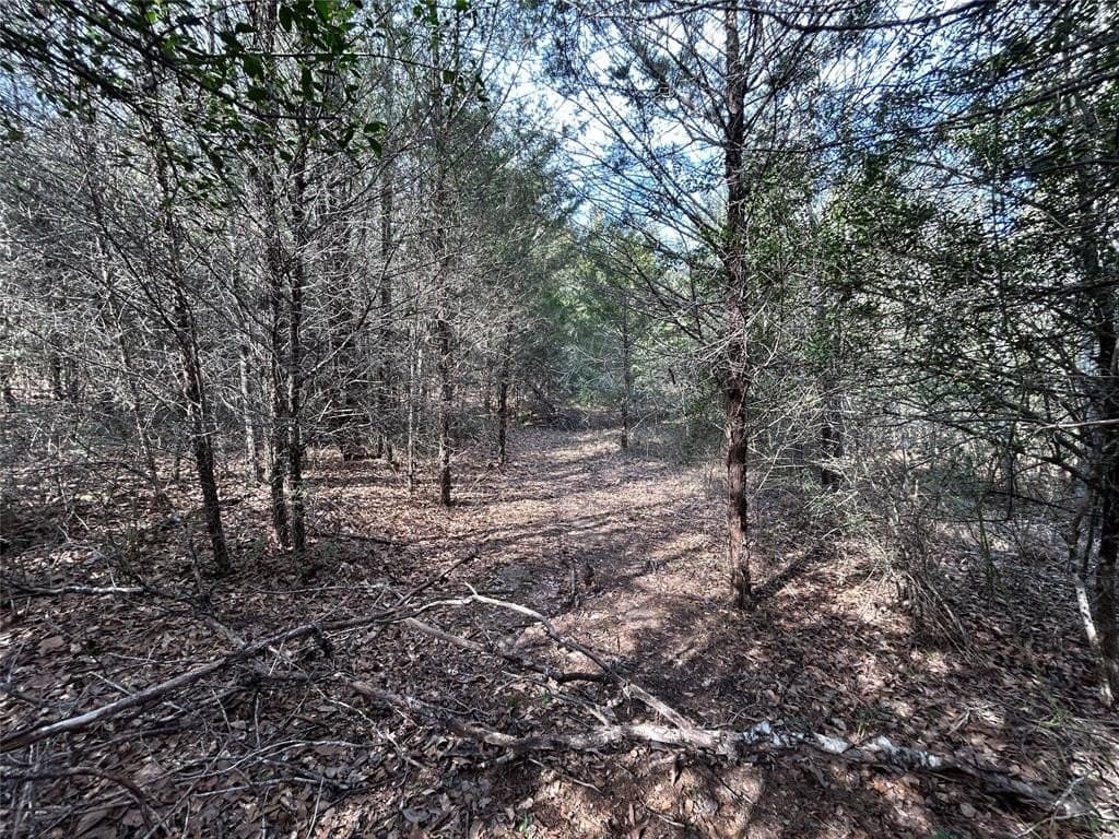 108.71 acres in Freestone County - photo 15