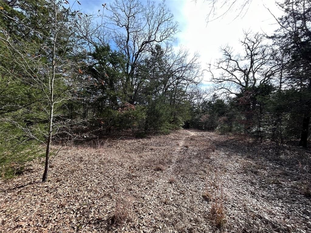 108.71 acres in Freestone County - photo 14