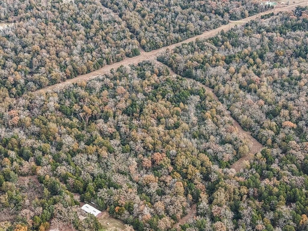 108.71 acres in Freestone County - photo 24