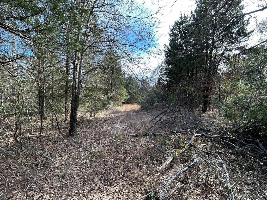 108.71 acres in Freestone County - photo 8