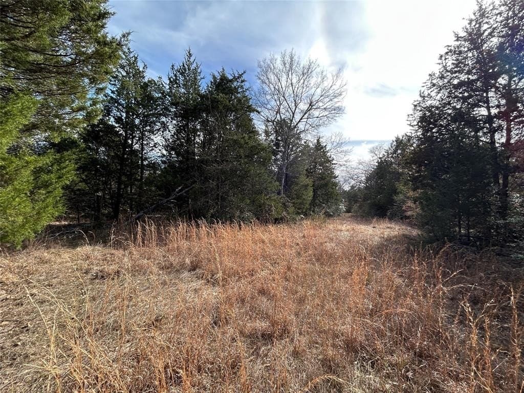 108.71 acres in Freestone County - photo 2