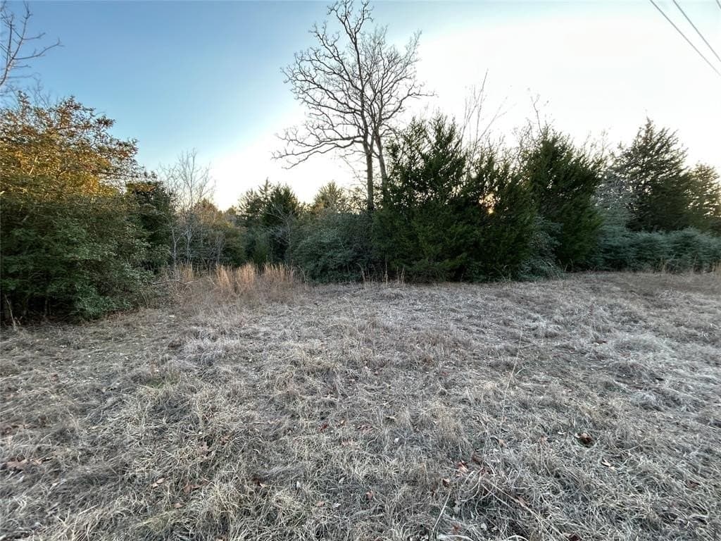 108.71 acres in Freestone County - photo 9