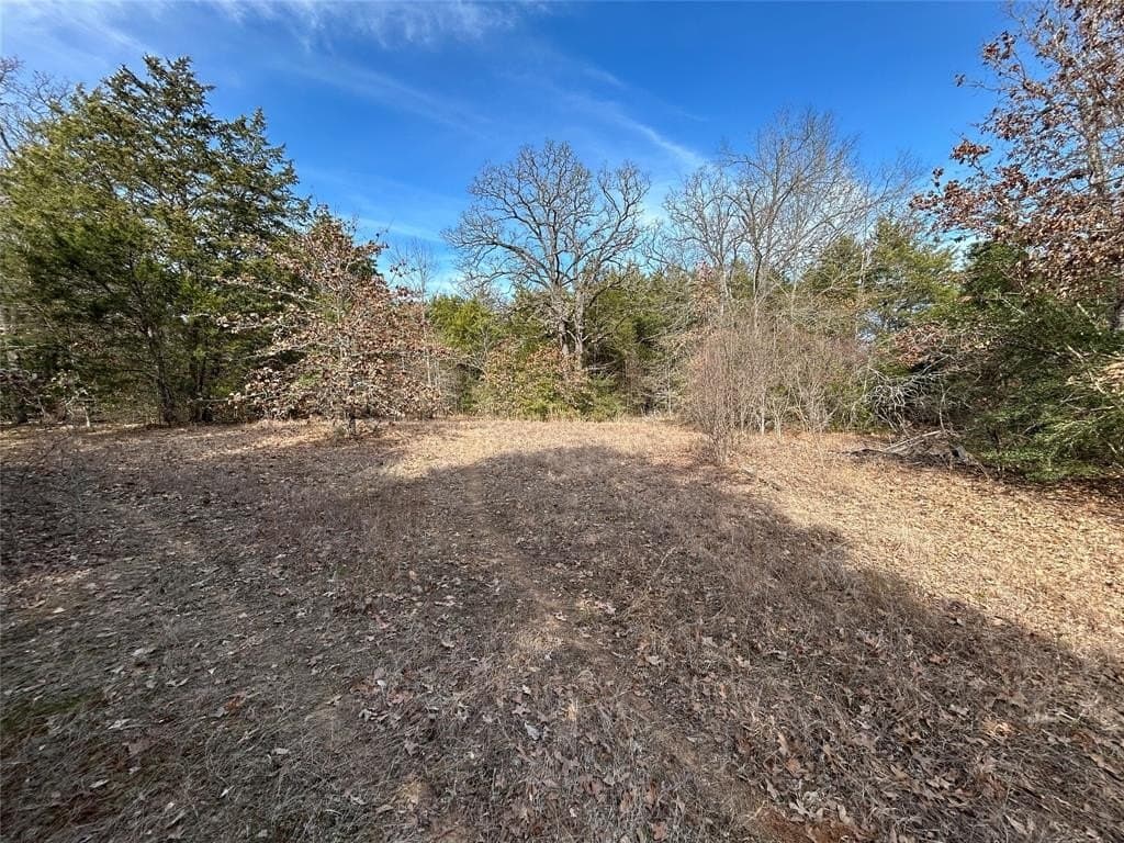 108.71 acres in Freestone County - photo 5