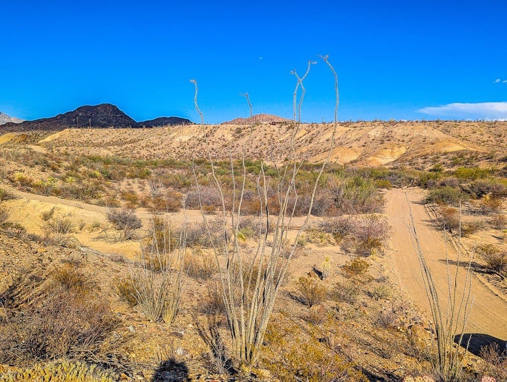 10 acres in Brewster County - photo 10