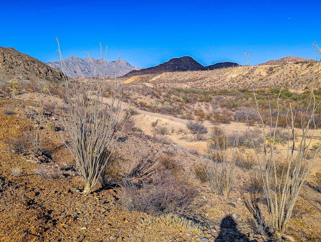 10 acres in Brewster County - photo 4