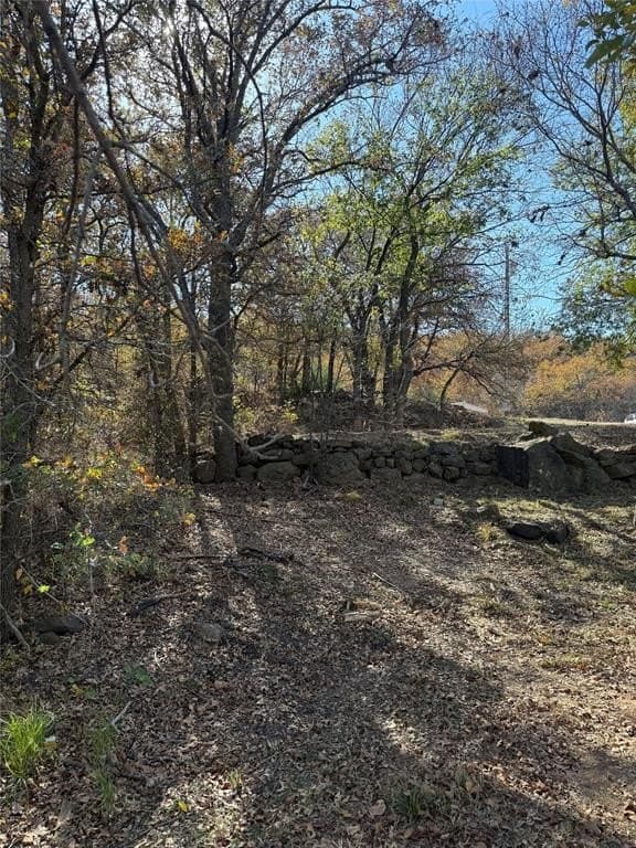 1.23 acres in Montague County - photo 13