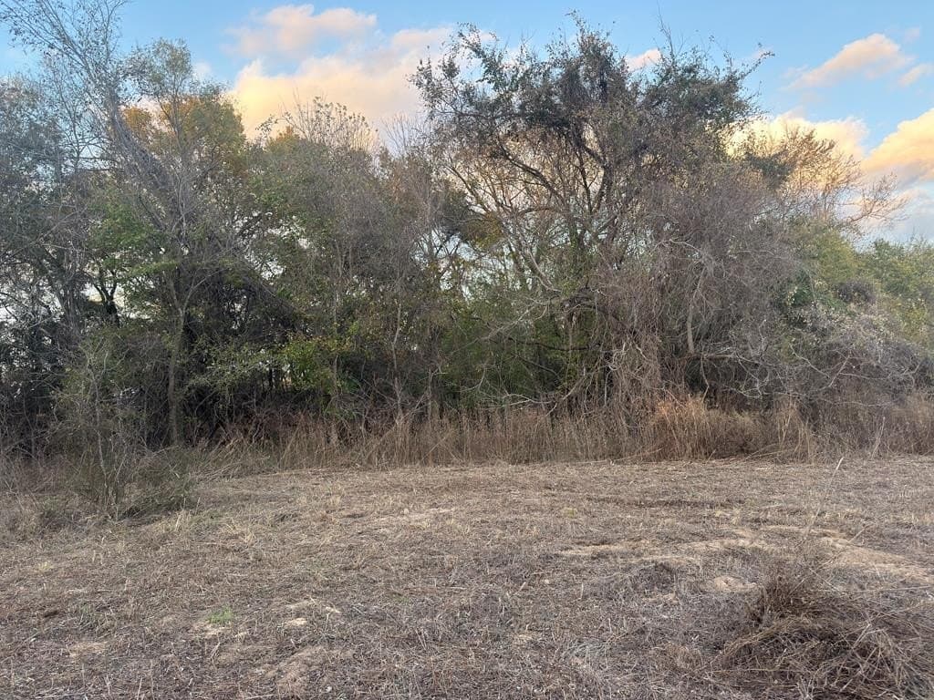 32 acres in ANDERSON County - photo 9