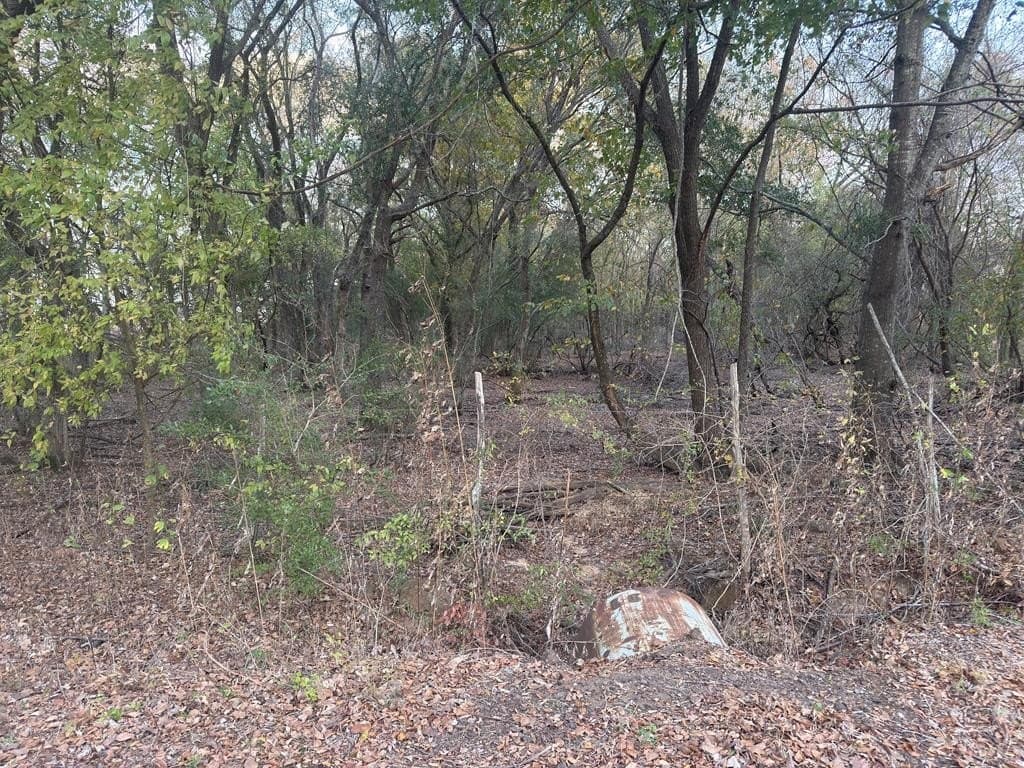 32 acres in ANDERSON County - photo 10