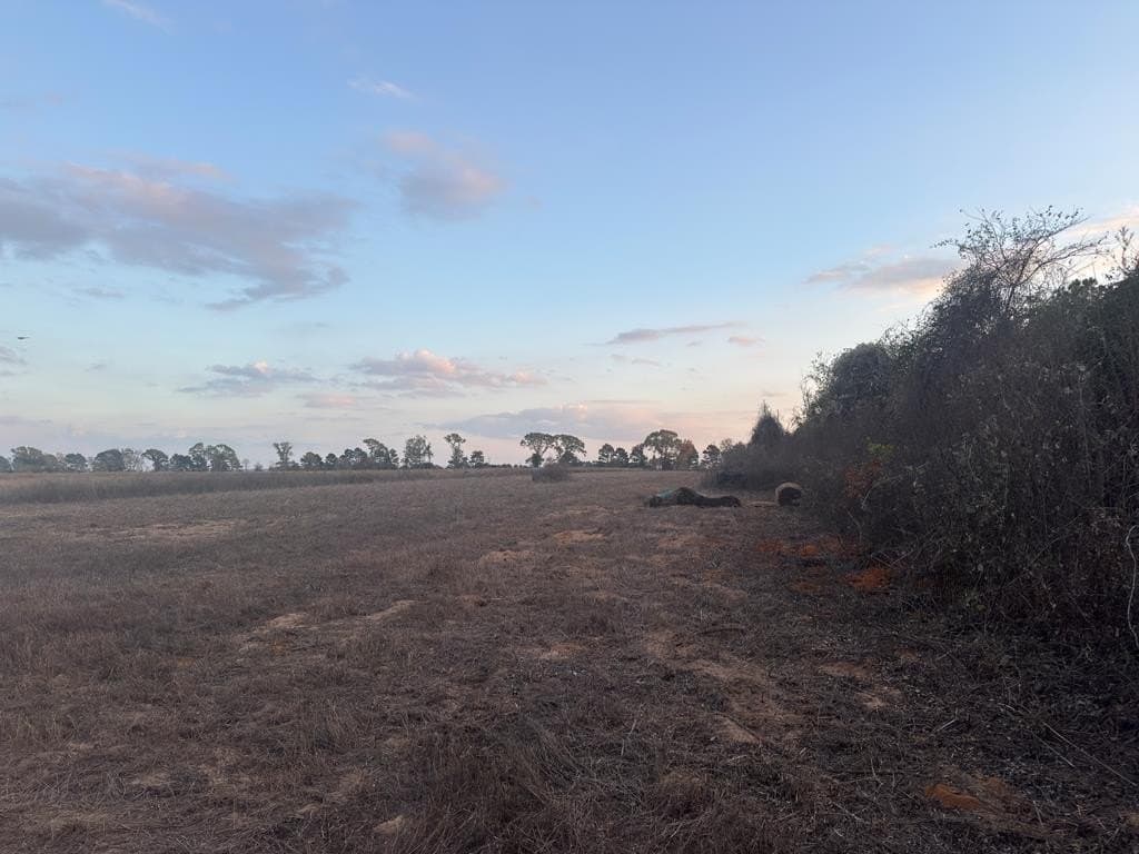 32 acres in ANDERSON County - photo 11