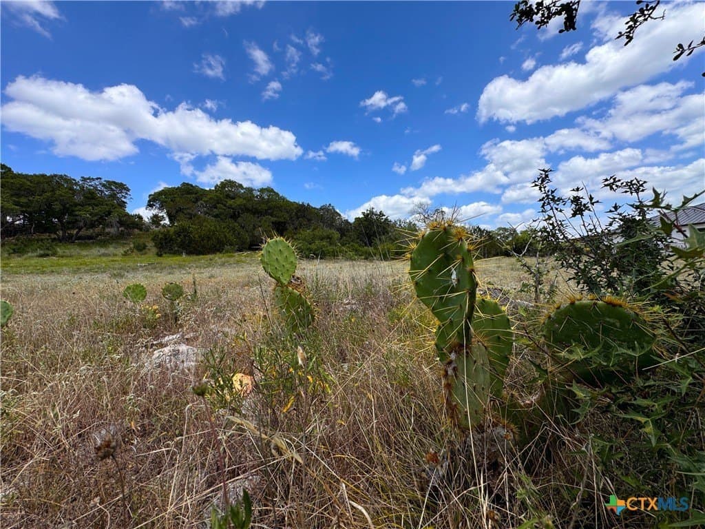 1.28 acres in Comal County - photo 13