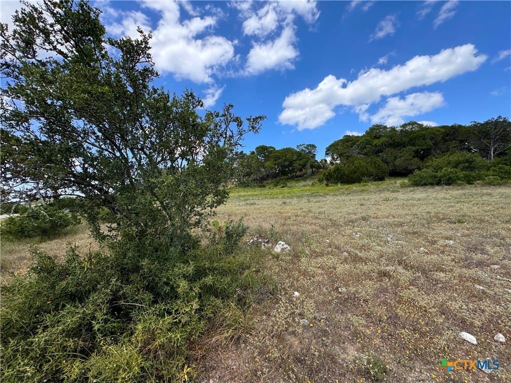 1.28 acres in Comal County - photo 12
