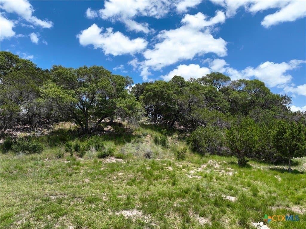 1.28 acres in Comal County - photo 8
