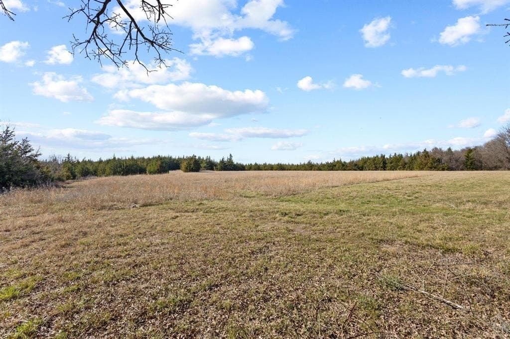 51.47 acres in Lamar County - photo 19