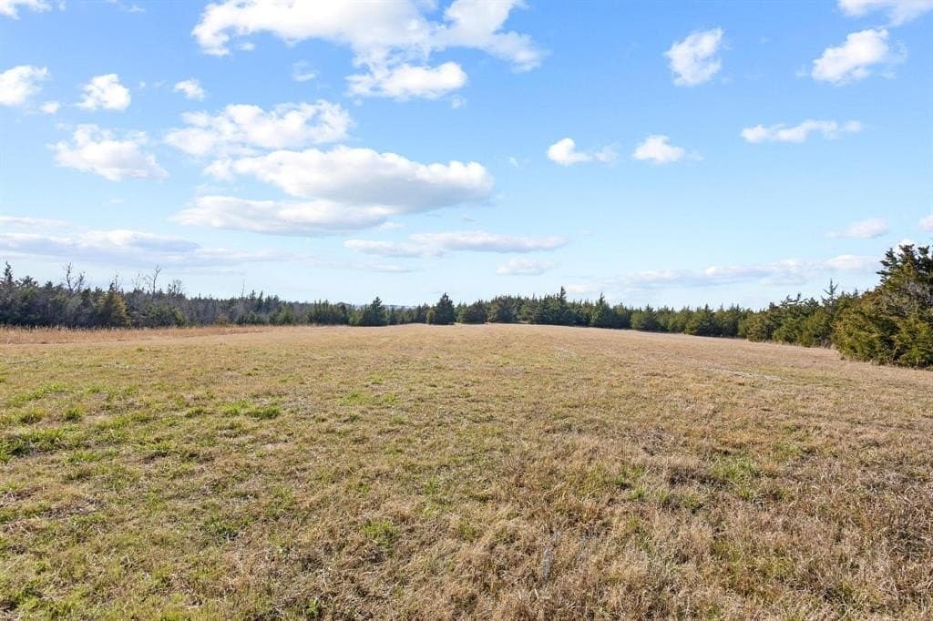 51.47 acres in Lamar County - photo 23
