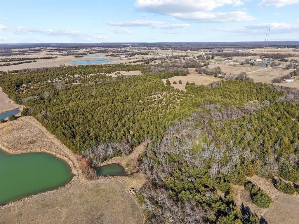 51.47 acres in Lamar County - photo 26
