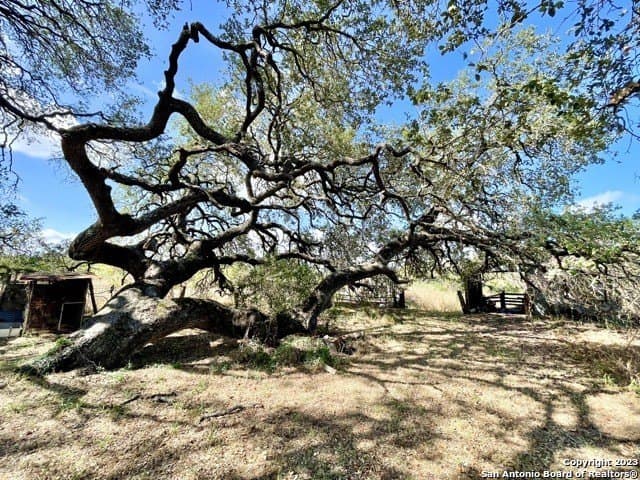 20 acres in Medina County - photo 22