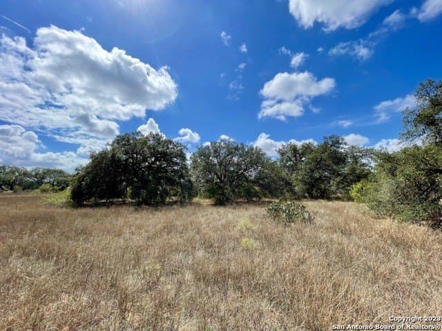 20 acres in Medina County - photo 26